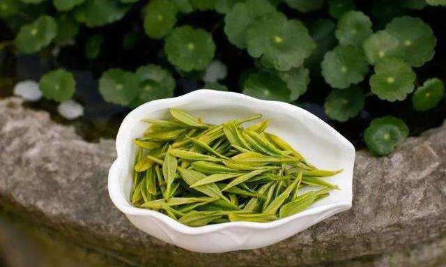 有苦有甜,有涩有鲜,“茶”的口感因何而来?