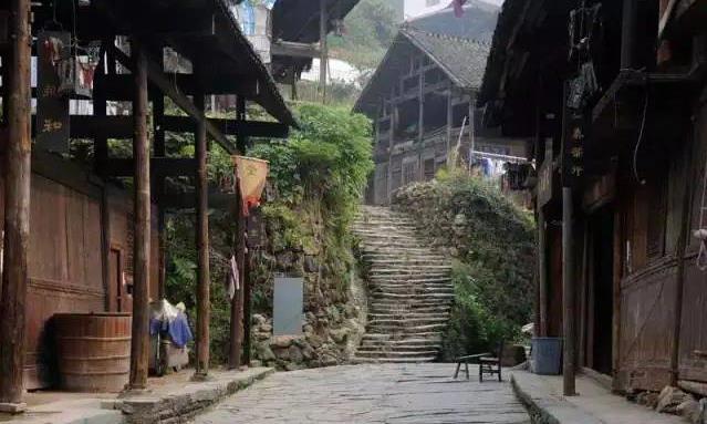 安化茶山核心产区八大山头