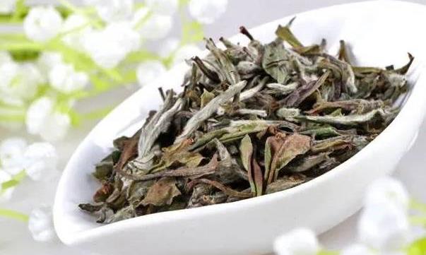 白茶与黄茶有什么区别?