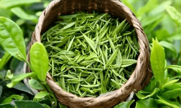 “明前茶”与“雨前茶”的区别