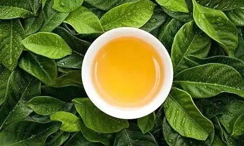 茶叶“苦尽甘来”的秘密是什么?