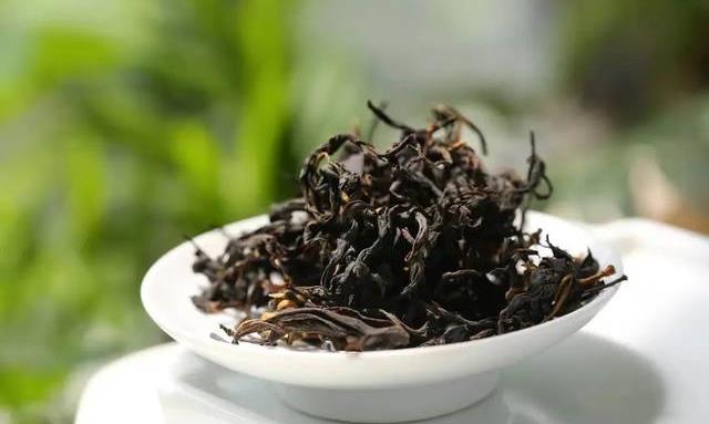 大叶种是适制云南普洱茶的最佳原料吗?