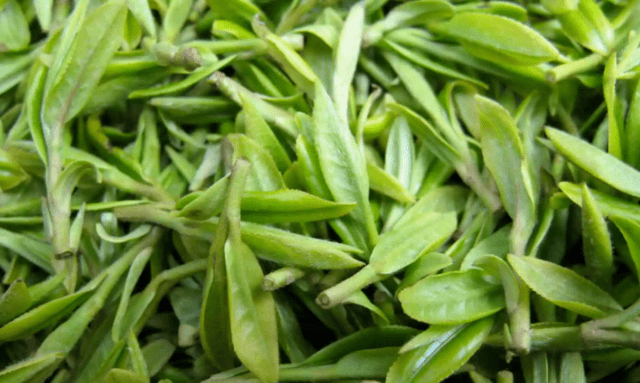 洞庭碧螺春之外,江苏这12种茶,知道的不多,喝过的更少!