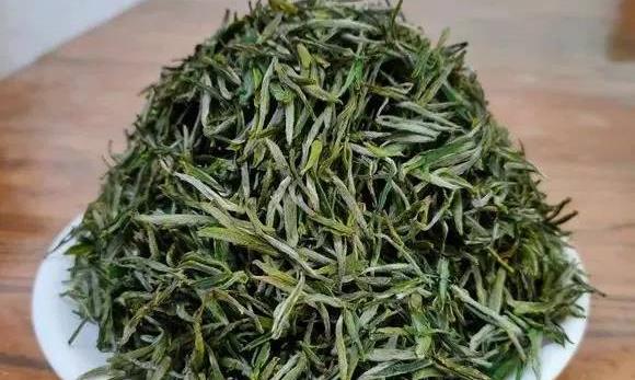 信阳毛尖清香和栗香哪一种好喝?