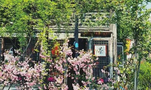 茶舍，喝茶人的世外桃源