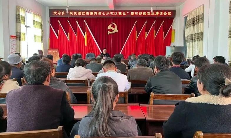 大寺乡“凤庆滇红茶原料核心示范区建设”暨可持续农业 培训圆满结束