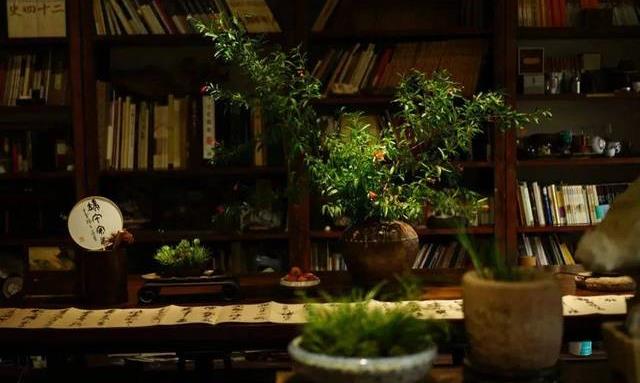 禅在茶里,人生在禅里