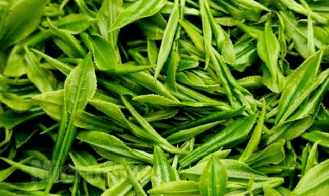 春茶的十二个好处，要不要了解一下