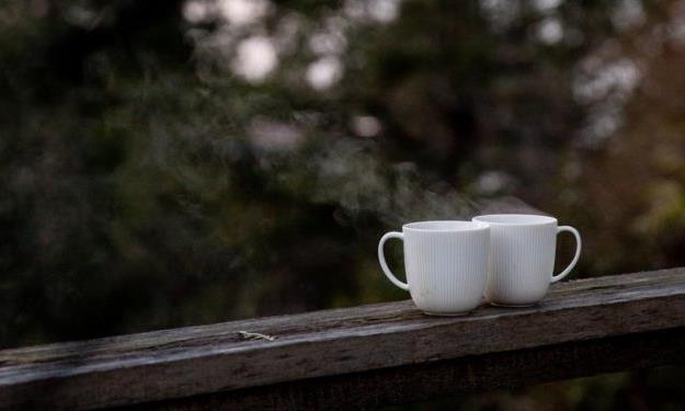 看茶叶叶片的大小,能判断是不是古树茶?