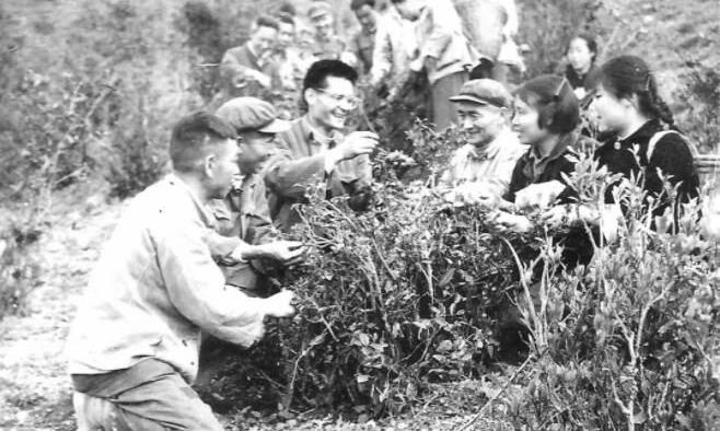 一位茶叶宗师的练成