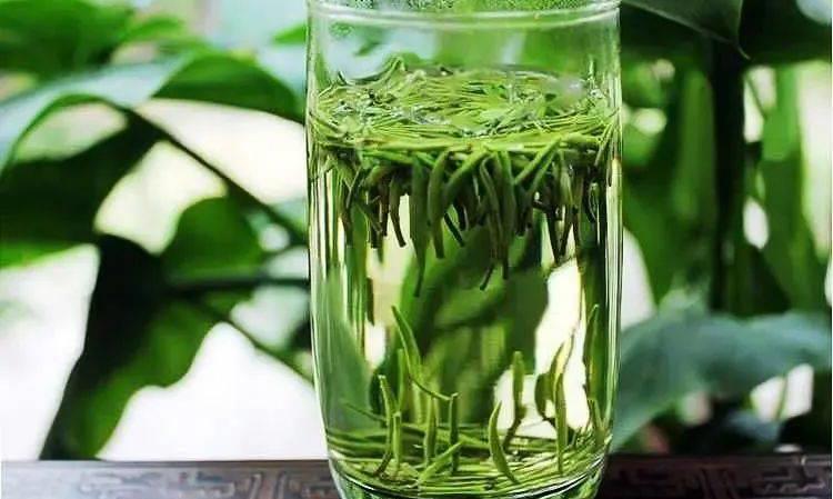 喝早春绿茶四大好处与三项注意！