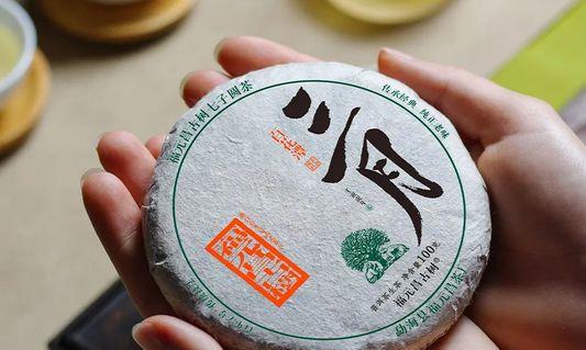 福元昌古树 在春天做最浪漫的事