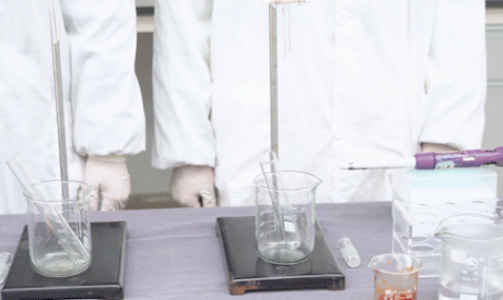 普洱茶到底有多解腻？来看看这几个科学实验