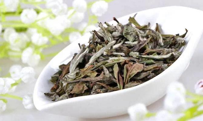 白茶,存放多久最好喝?