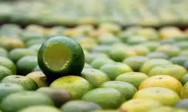 柑普茶和桔普茶到底有什么不同？