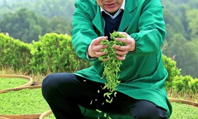 宜兴兰山茶场成为省优质特色茶示范基地