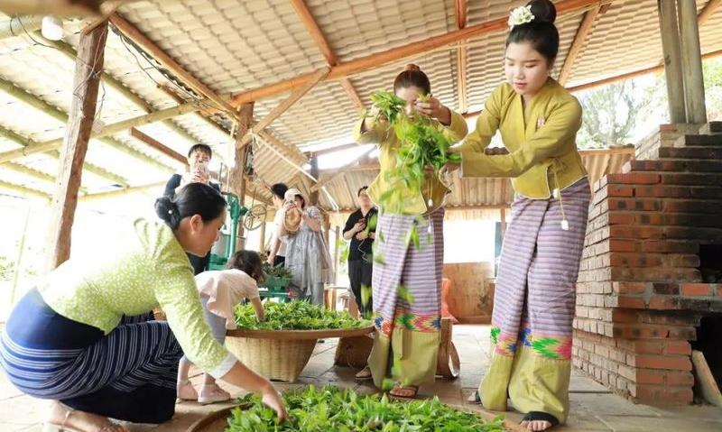 玉叫:用章哈演绎普洱茶传奇