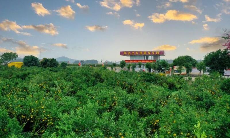 聚势合赢 品牌赋能:泓达堂与中仁茶文化达成战略合作
