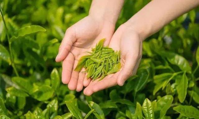 记下这份攻略，走到哪都能喝一杯好茶！