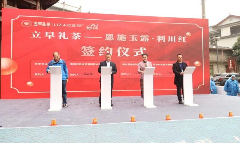 启动“三茶”示范基地建设!这一茶产区深化茶叶区域公用品牌打造