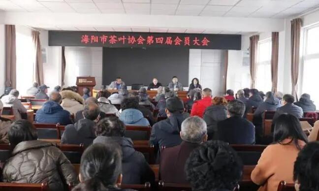 海阳茶叶协会会长于凤玲:探索创新 推动海阳茶再上新台阶