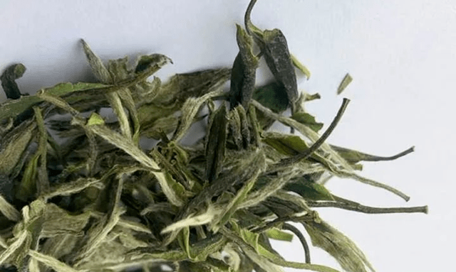 白茶如何区分日晒和阴干？