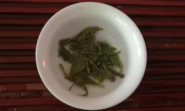 春茶要如何选购？
