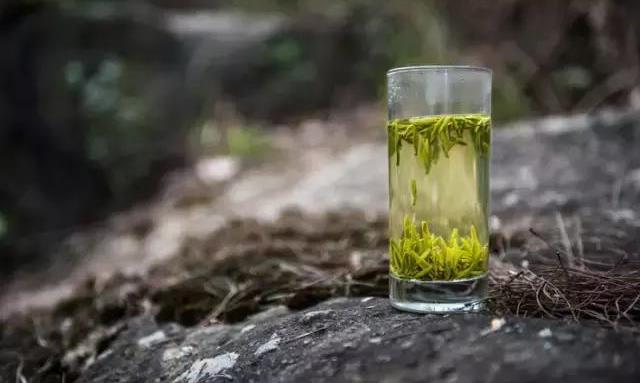 这些数据告诉你喝春茶喝的是什么