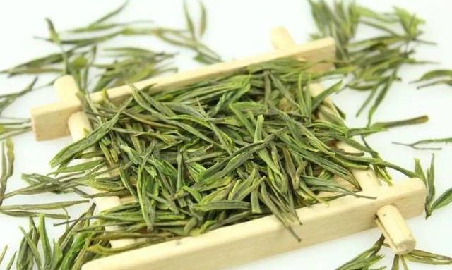 福鼎白茶和安吉白茶的区别