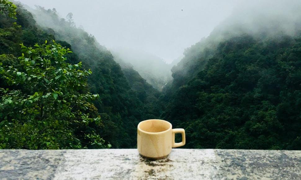 茶,喝茶,请喝茶