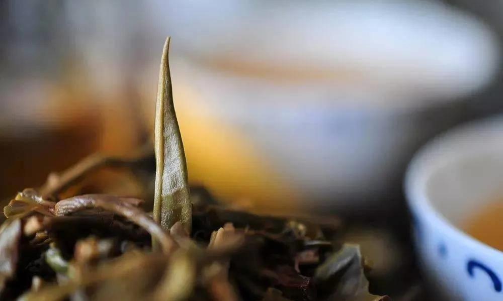 茶中相遇,要的是一份默契与懂得