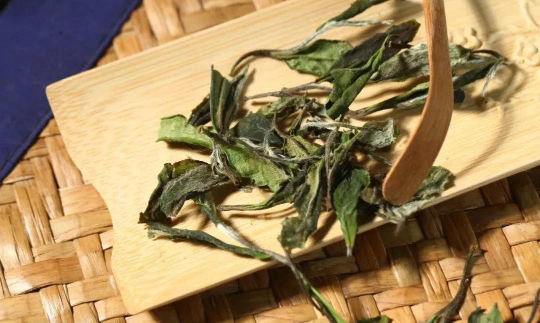 教你存白茶，仅此一文就够了