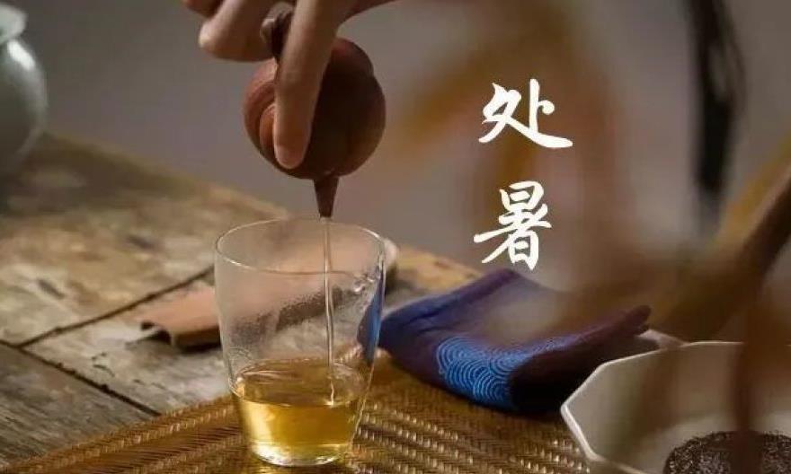 处暑:三伏将尽秋意起,一杯佳茗候凉风