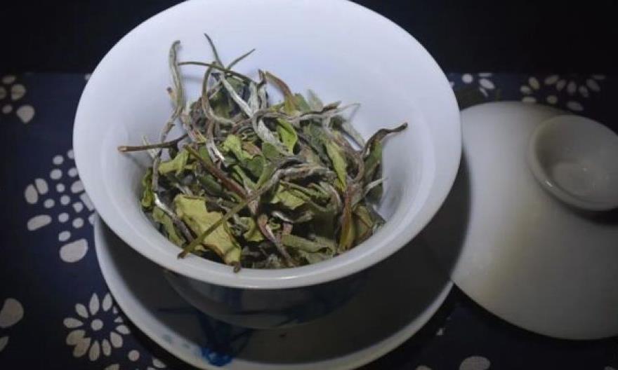 白茶加一物，入秋更舒服