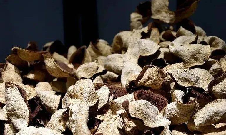 如何辨别新会陈皮真假和优劣？