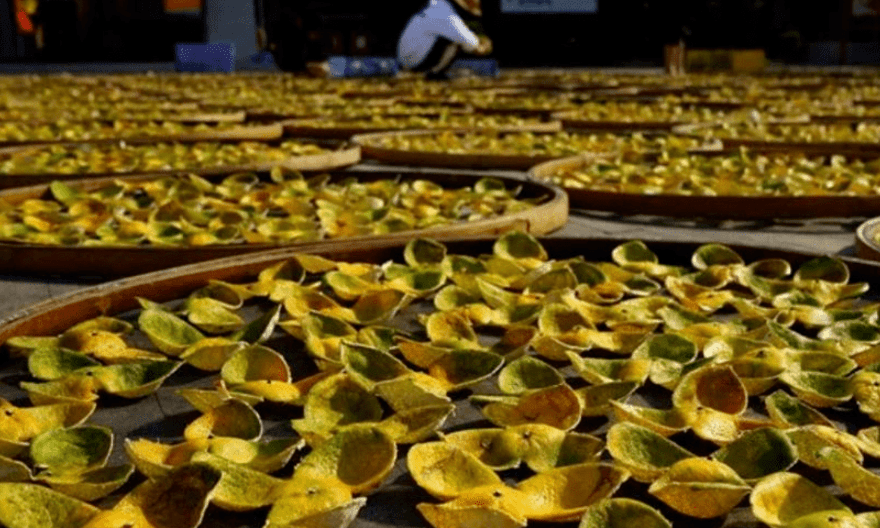 新会陈皮因何而贵？贵有所值吗？