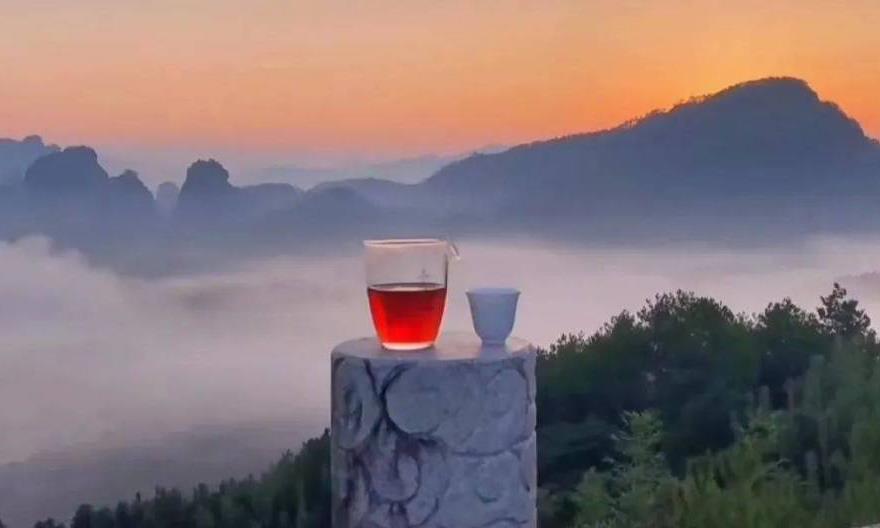 醇不过水仙，细说味醇厚、香清幽的武夷水仙茶