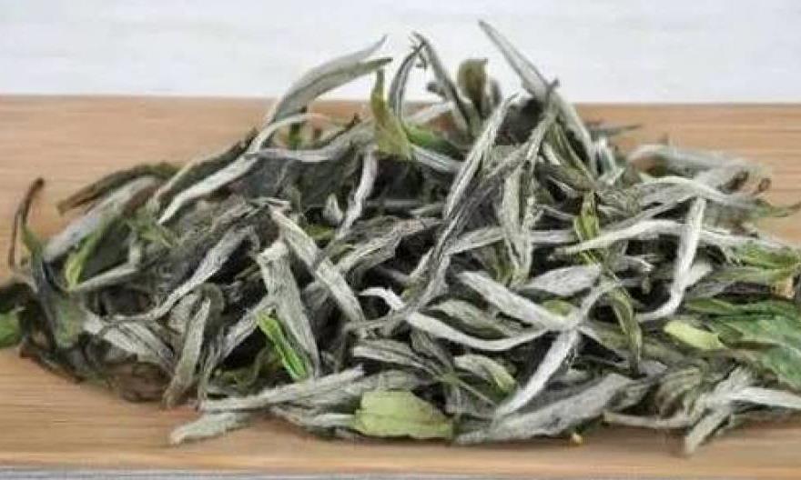 白茶到底要不要洗茶？