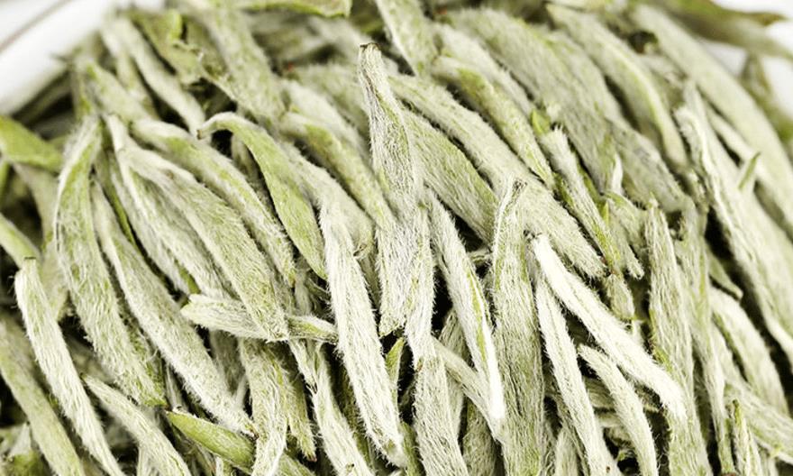 一杯时令茶，跟上自然变幻的节拍