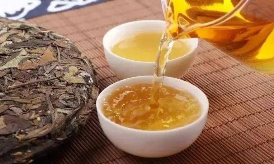 二十五个关于白茶的“小白”知识