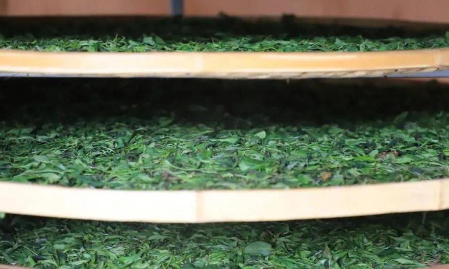 解密武夷岩茶“走水焙”