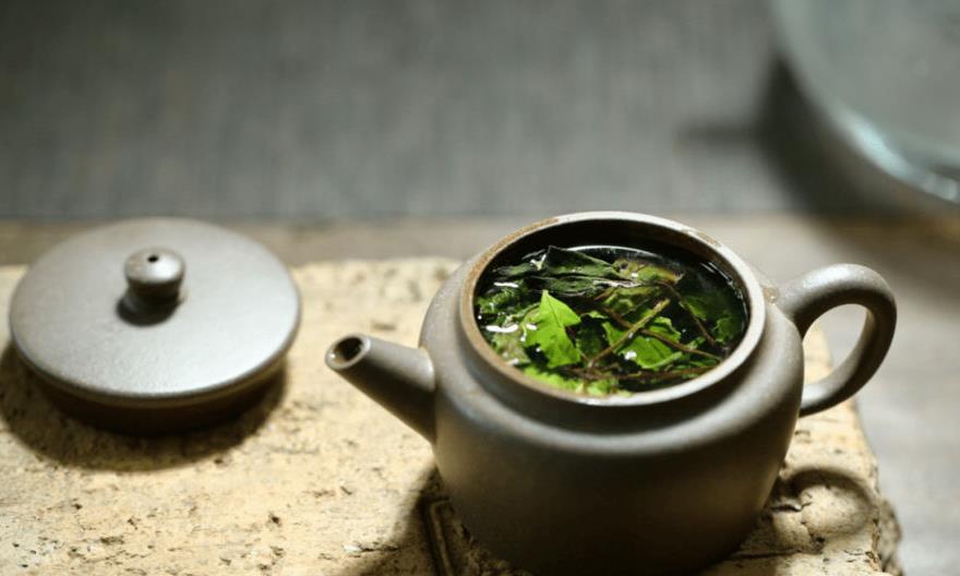 为什么白茶要从寿眉喝起？