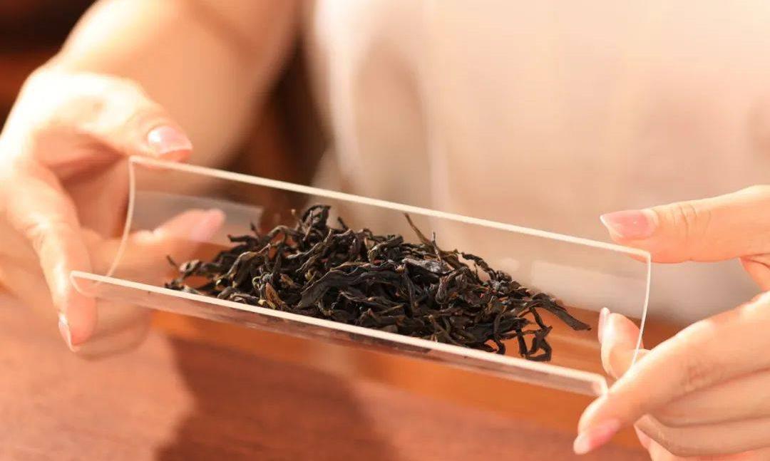 关于凤凰单丛，不可不知的那些事儿