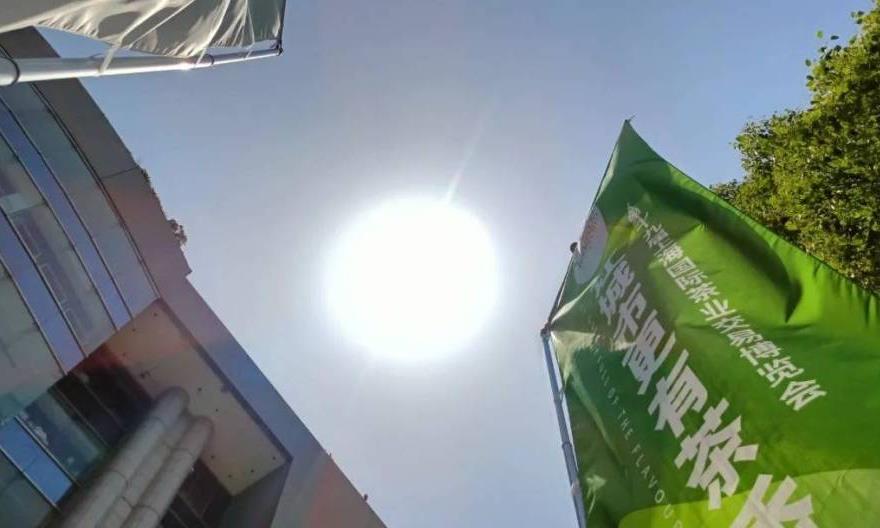 夏至：昼长夜短暑气盛，祛热生津宜饮茶