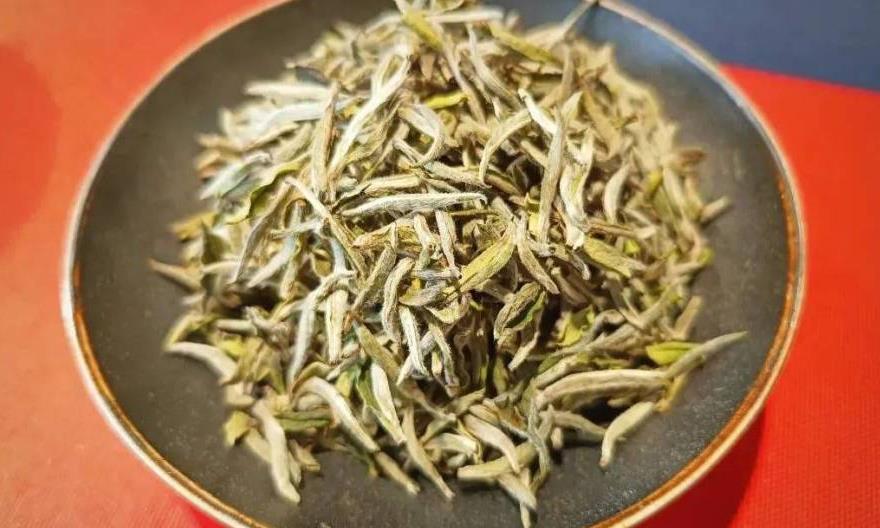 秋天，为什么很适合煮饮老白茶？