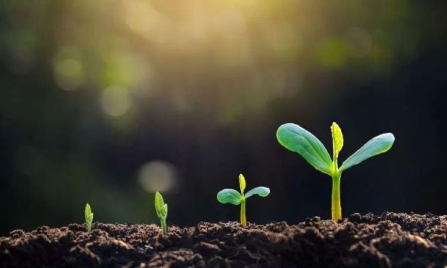 雨水丨万物遇水而春，万事遇之皆顺