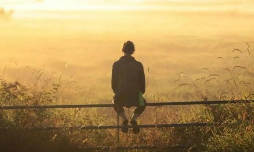 冬日周末二三事,喝茶晒暖静坐思