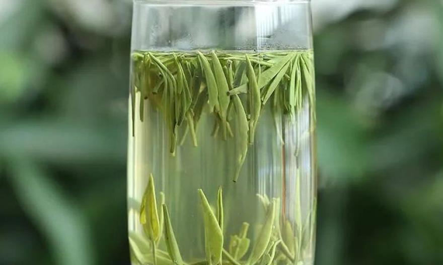 一文读懂春茶,明前茶缘何贵如金?