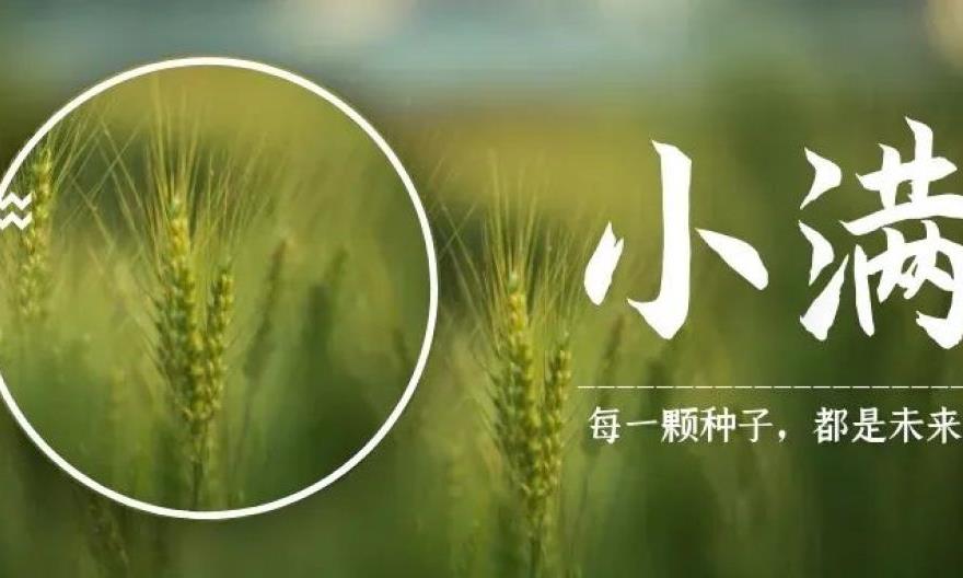 小满喝茶,小得盈满
