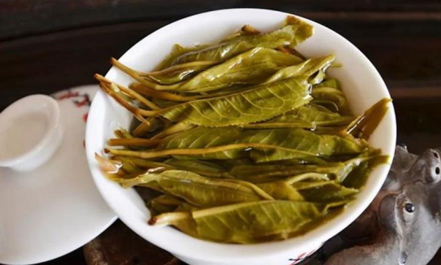 喝完的茶渣不要扔,这4点轻松辨别茶的好坏